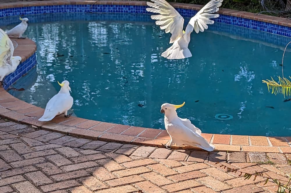 Photo of Outdoor in Helensvale