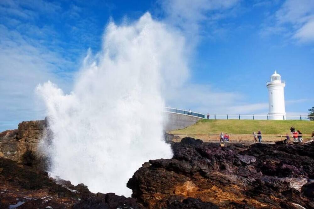 Photo of Others in Werri Beach