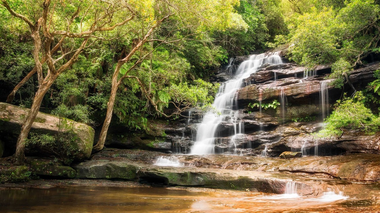 Photo of Others in Gosford