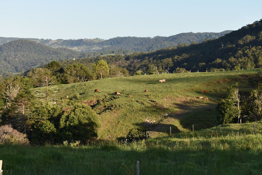 Photo of Outdoor in Witta