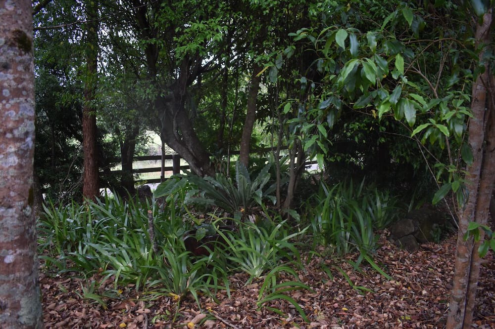 Photo of Outdoor in Witta