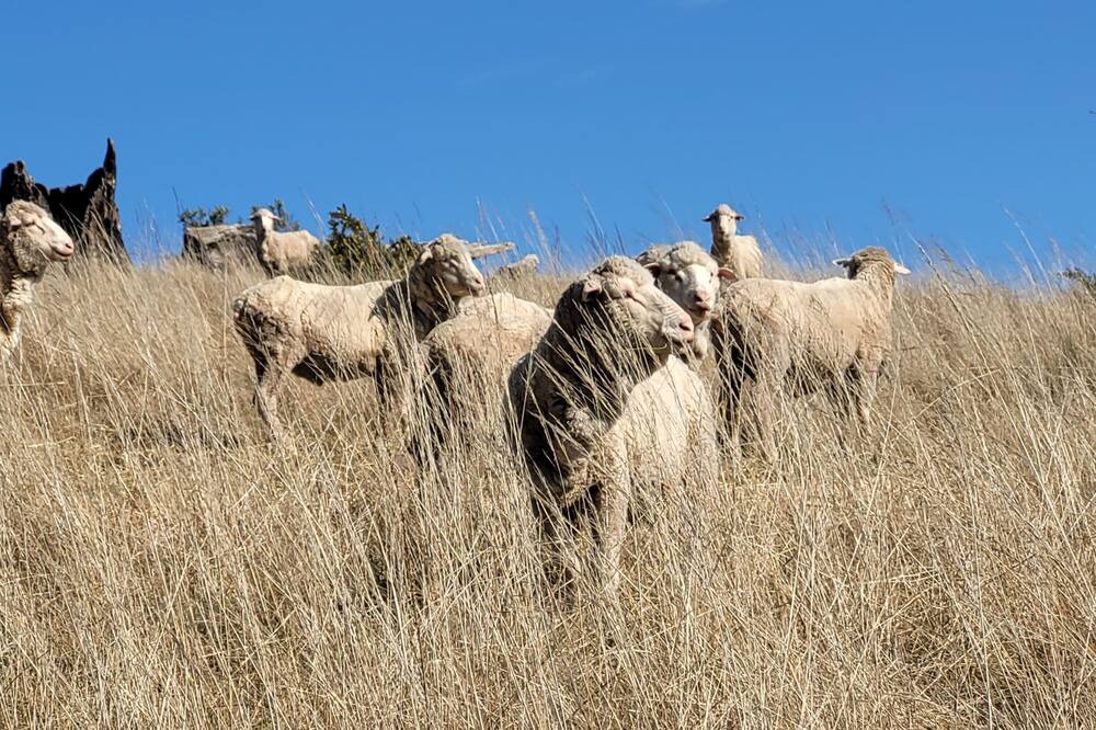 Photo of Others in Kempton