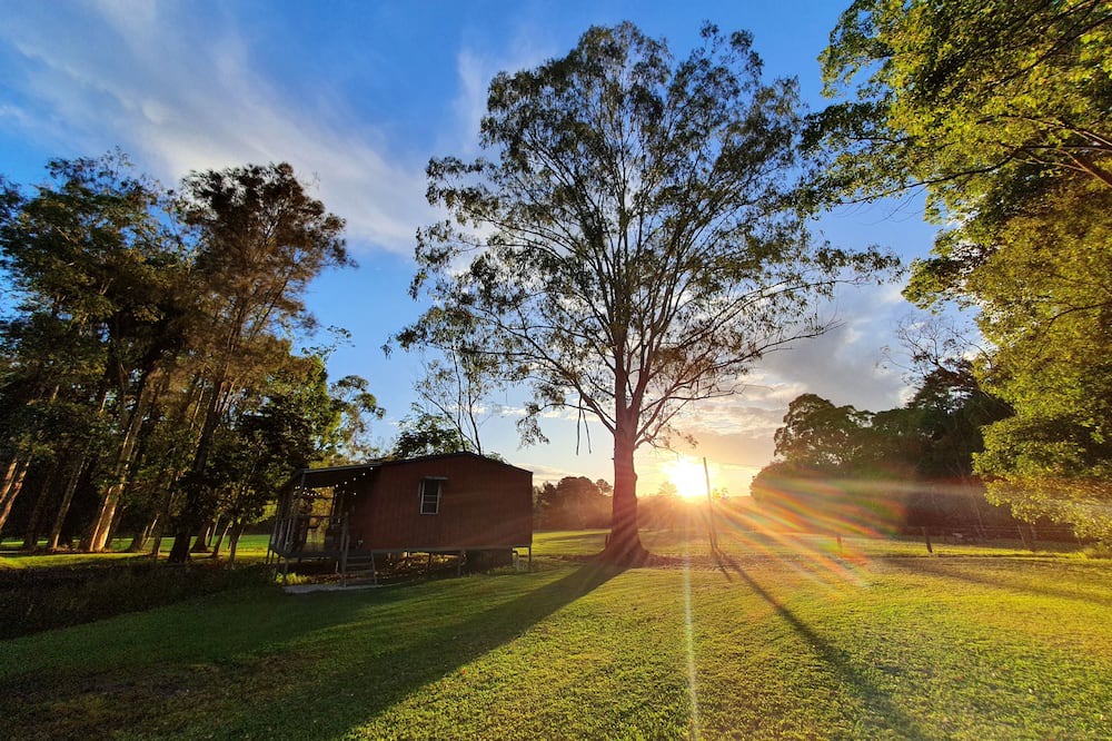 Photo of Outdoor in Eudlo