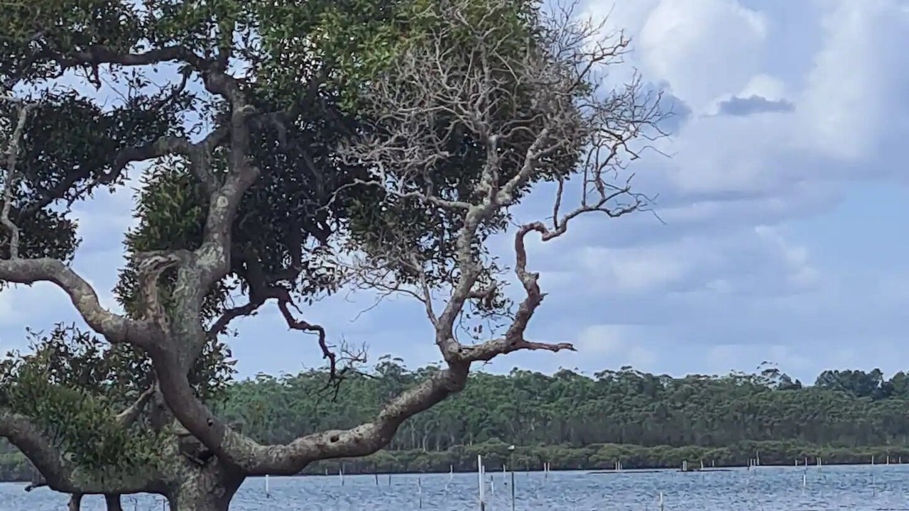 Photo of Outdoor in Pindimar
