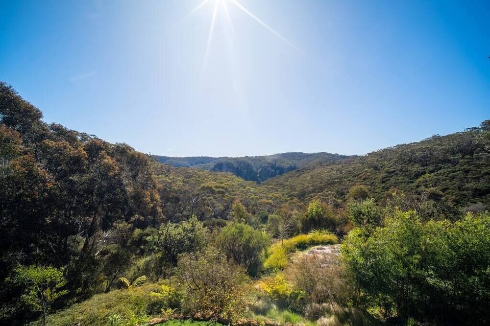 Photo of Others in Katoomba