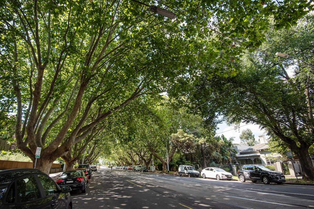 Photo of Others in St Kilda West