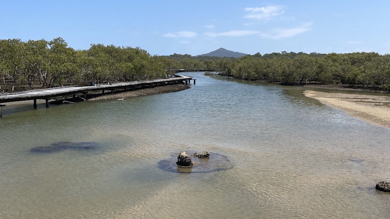Photo of Others in Newee Creek