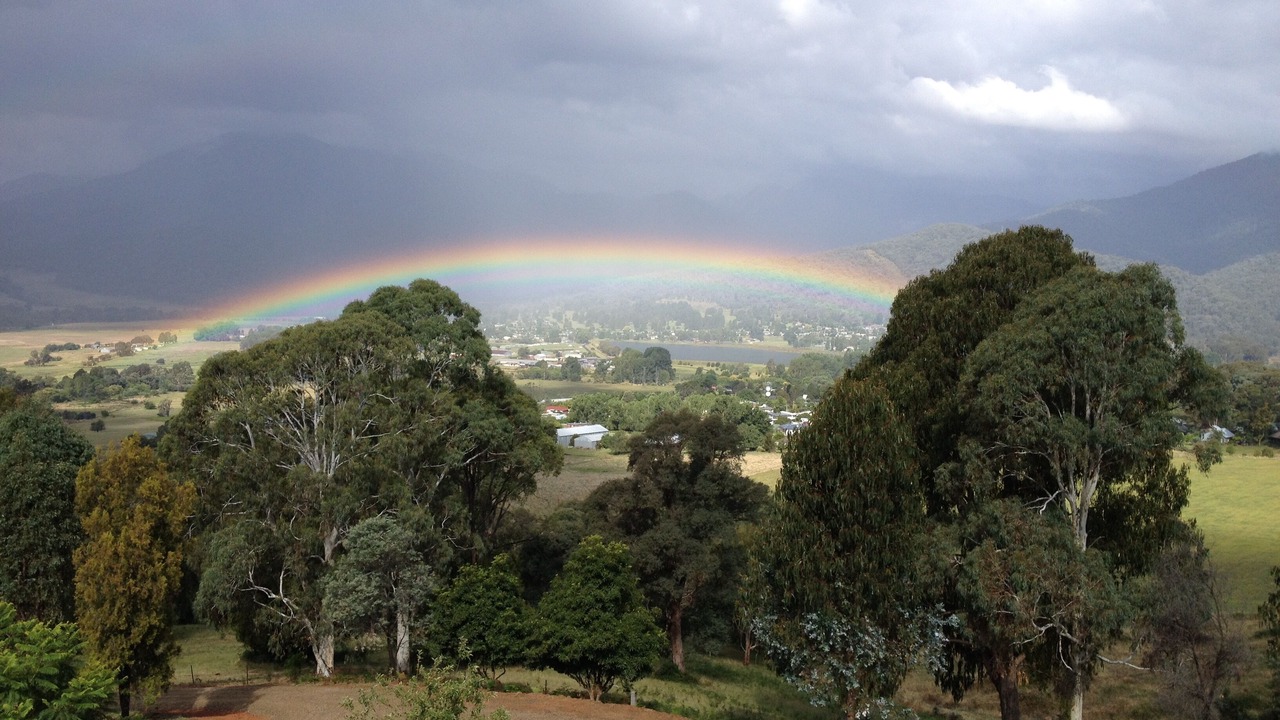 Photo of Outdoor in Tawonga South
