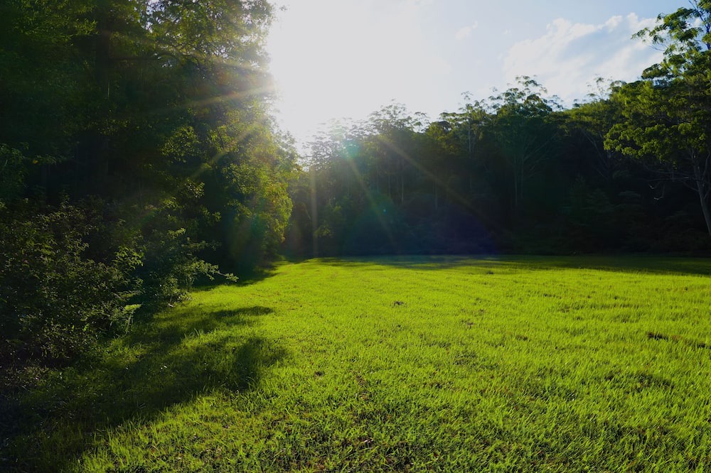 Photo of Outdoor in Martinsville
