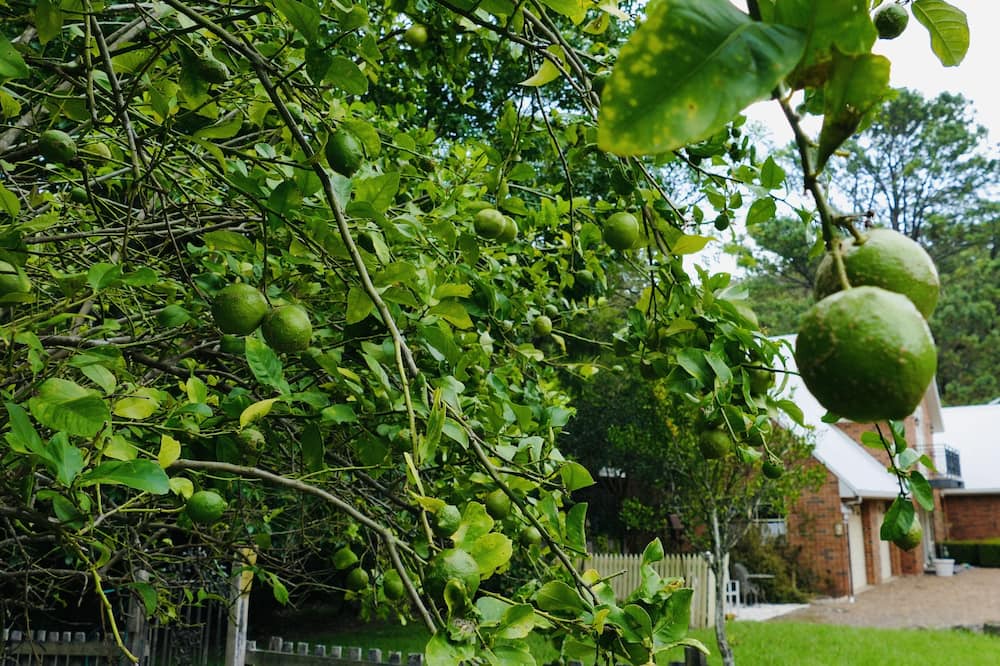 Photo of Outdoor in Martinsville