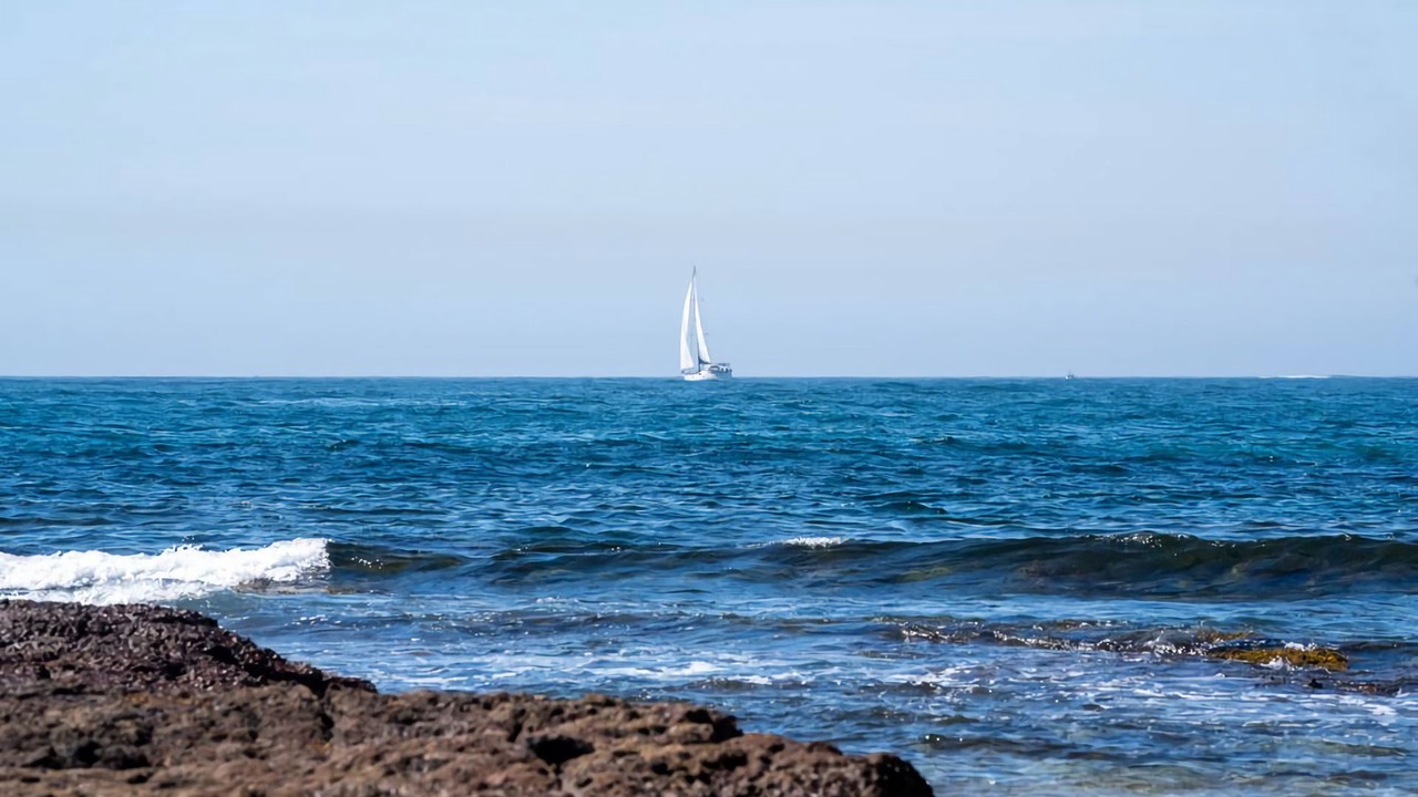 Photo of Others in Shell Cove