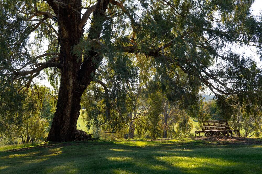 Photo of Outdoor in Shepherds Flat