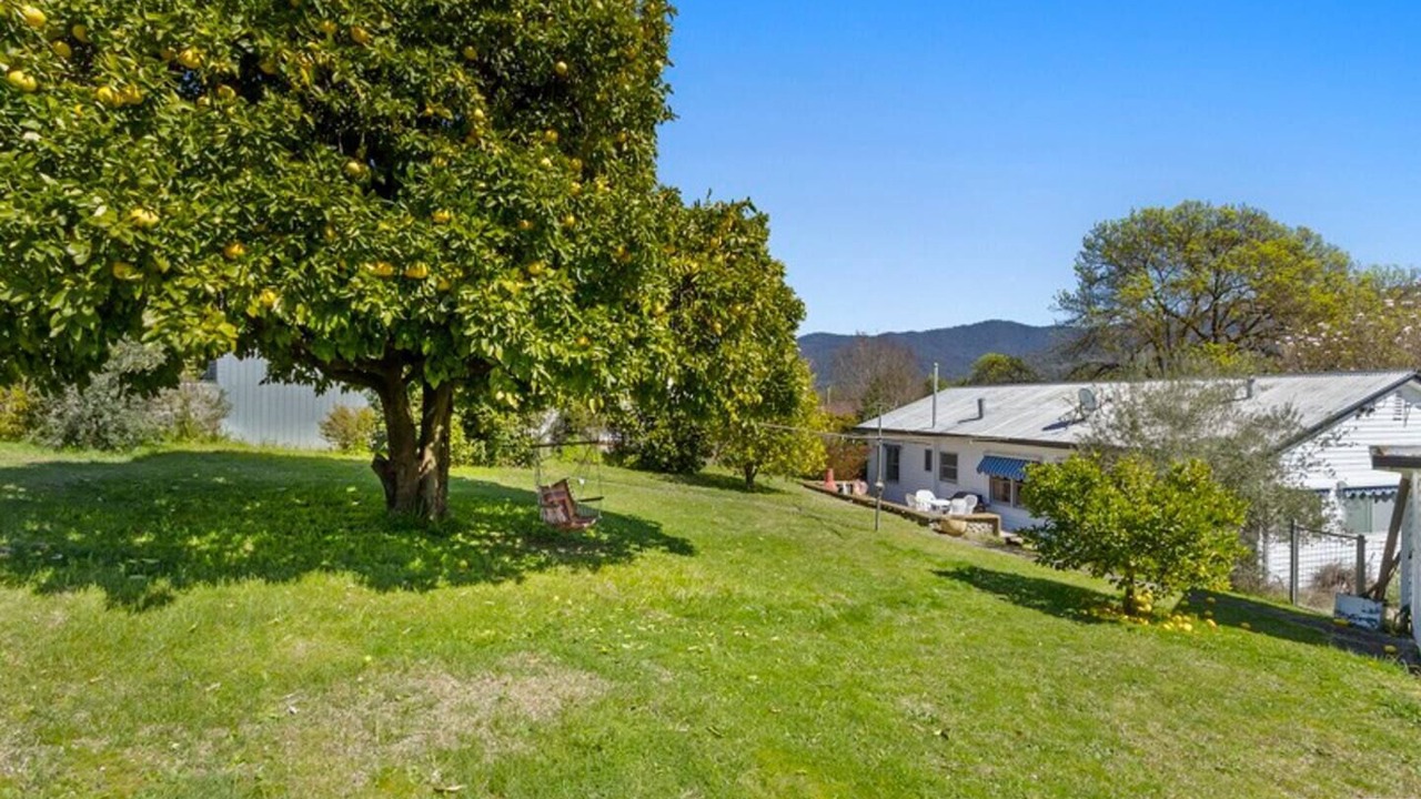 Photo of Outdoor in Mount Beauty
