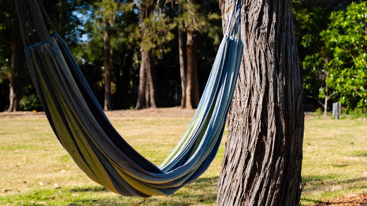 Photo of Outdoor in Wamberal