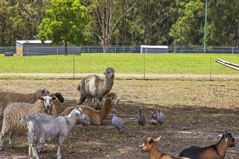 Photo of Outdoor in Bundook