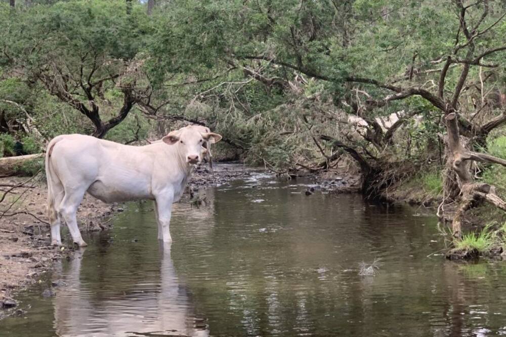 Photo of Others in Bundook