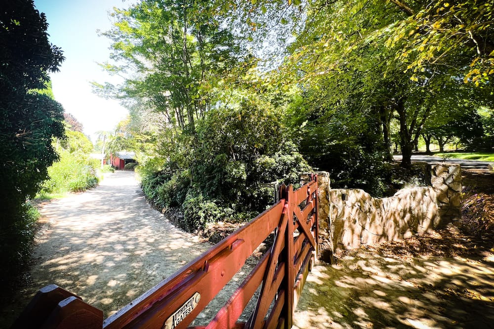 Photo of Outdoor in Mount Wilson