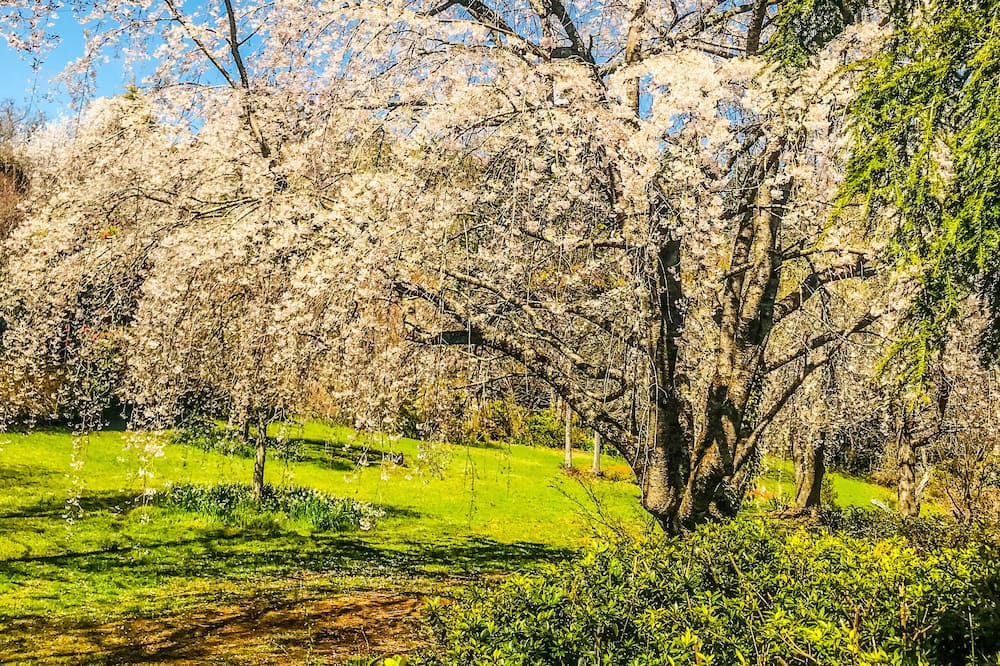 Photo of Others in Mount Wilson