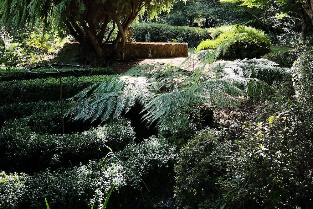 Photo of Outdoor in Mount Wilson