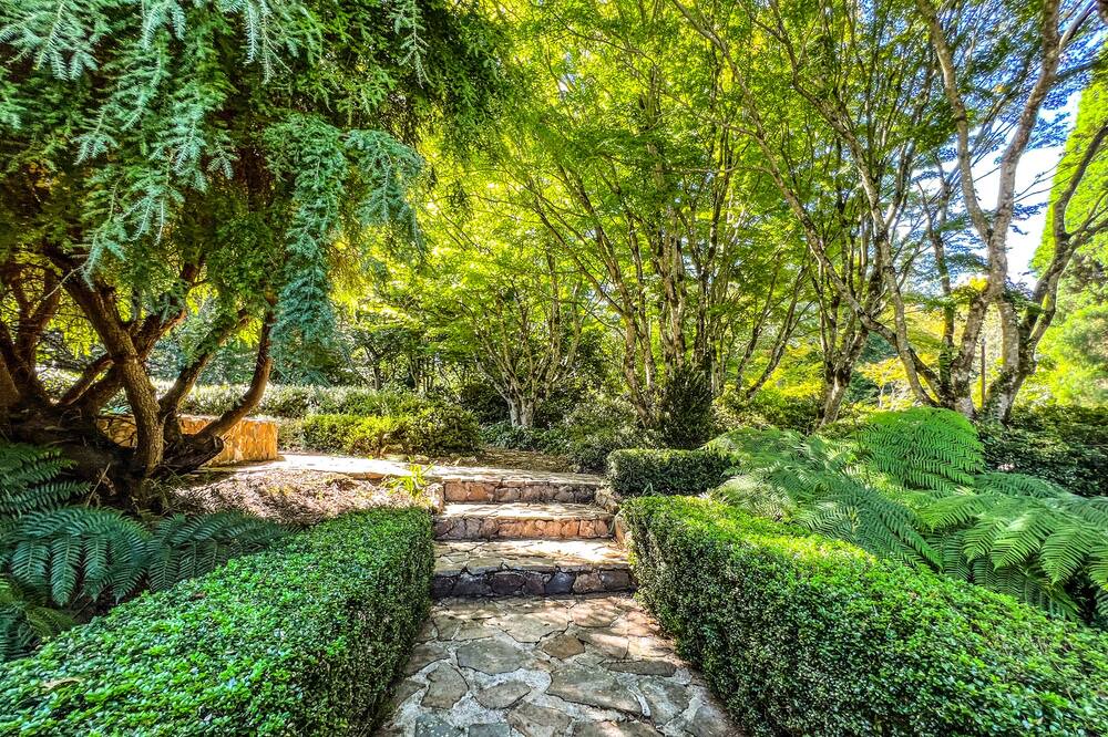 Photo of Outdoor in Mount Wilson
