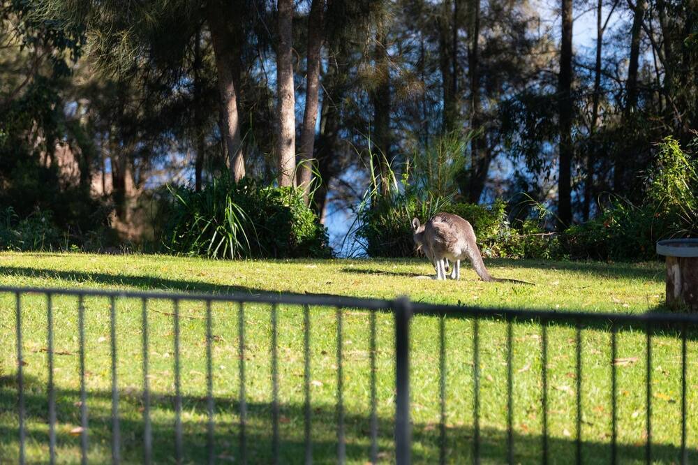 Photo of Outdoor in Wallaga Lake