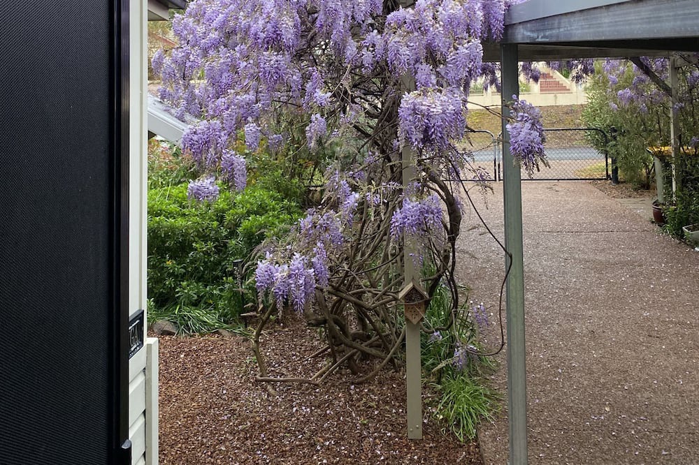 Photo of Outdoor in Canowindra