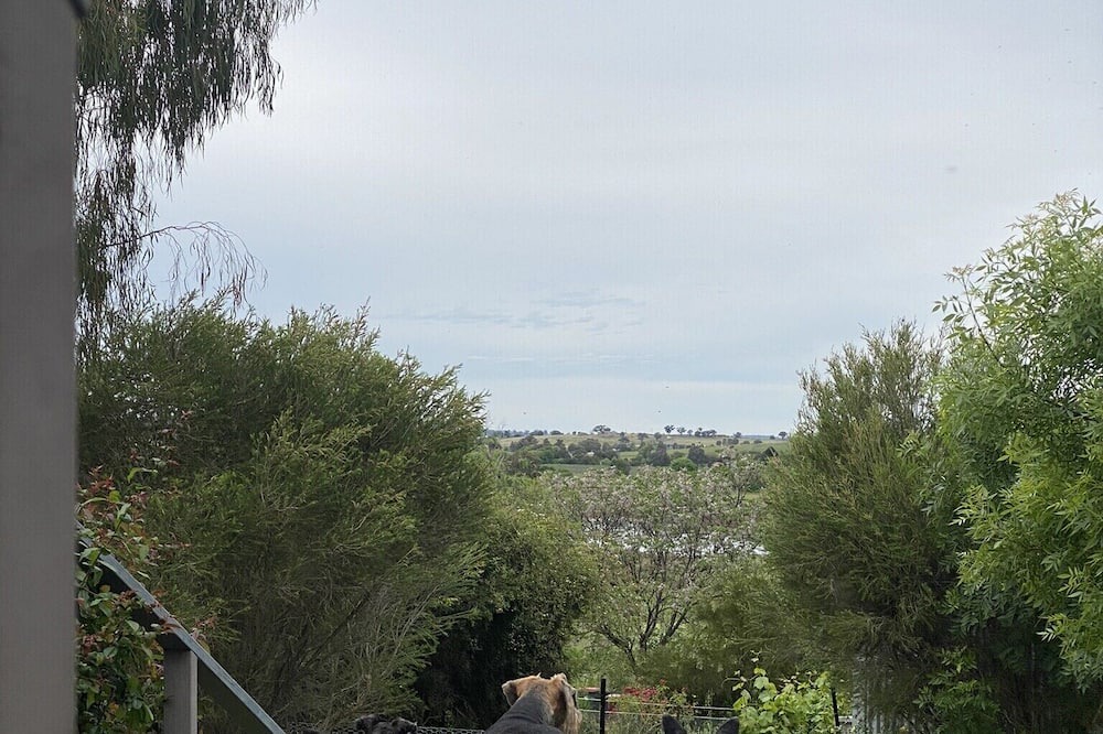 Photo of Outdoor in Canowindra