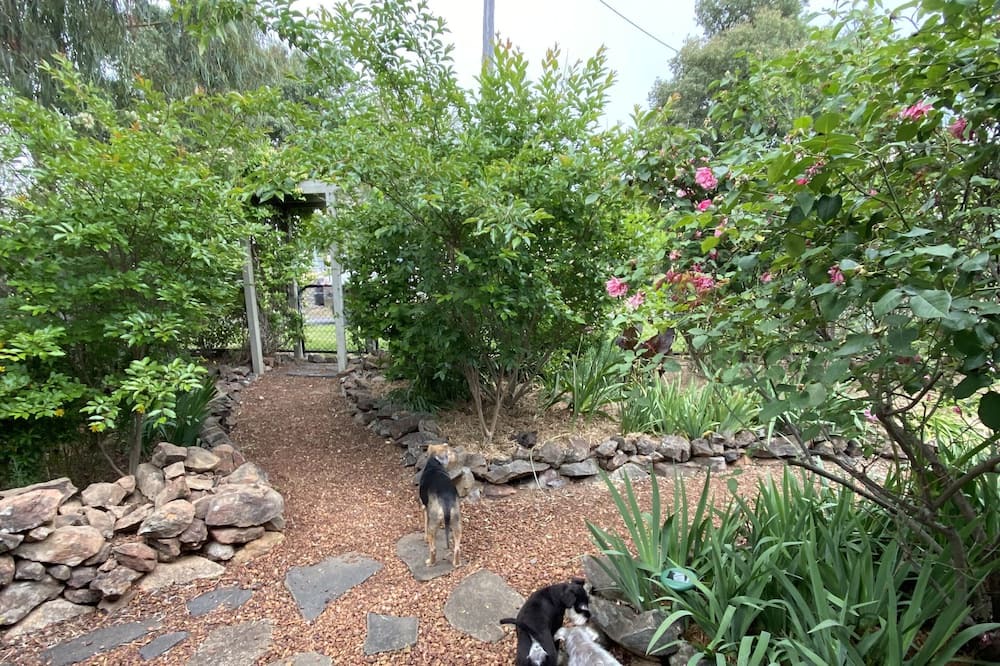 Photo of Outdoor in Canowindra