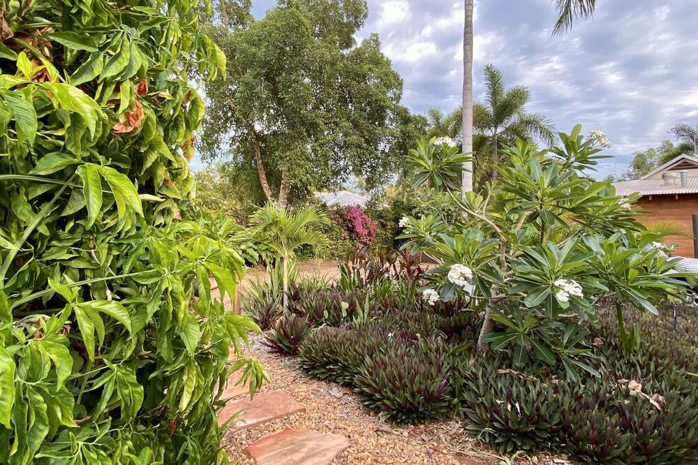 Photo of Outdoor in Cable Beach