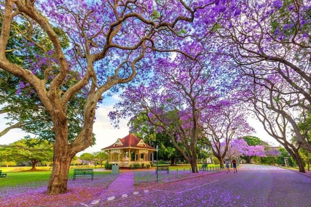 Photo of Others in Graceville