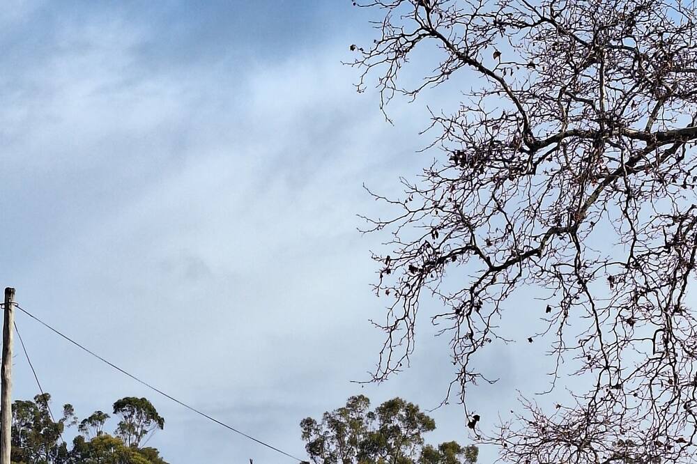 Photo of Outdoor in Dingup