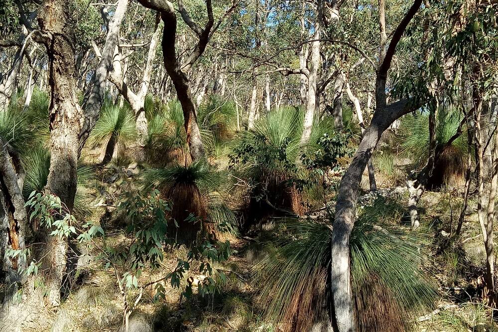 Photo of Outdoor in New Gisborne