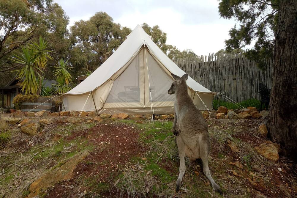 Photo of Outdoor in New Gisborne