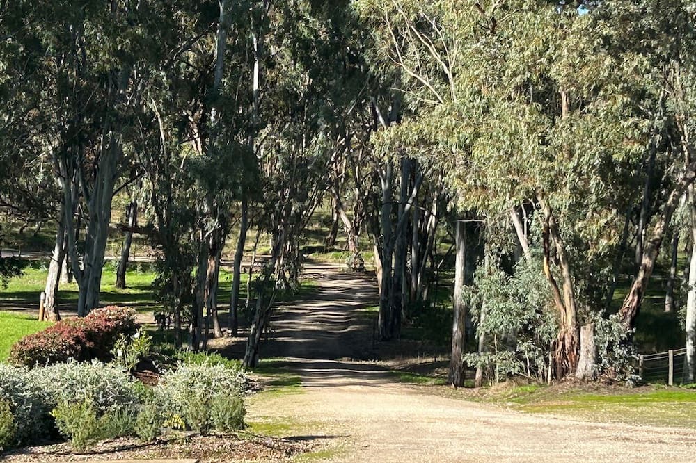 Photo of Outdoor in Sevenhill