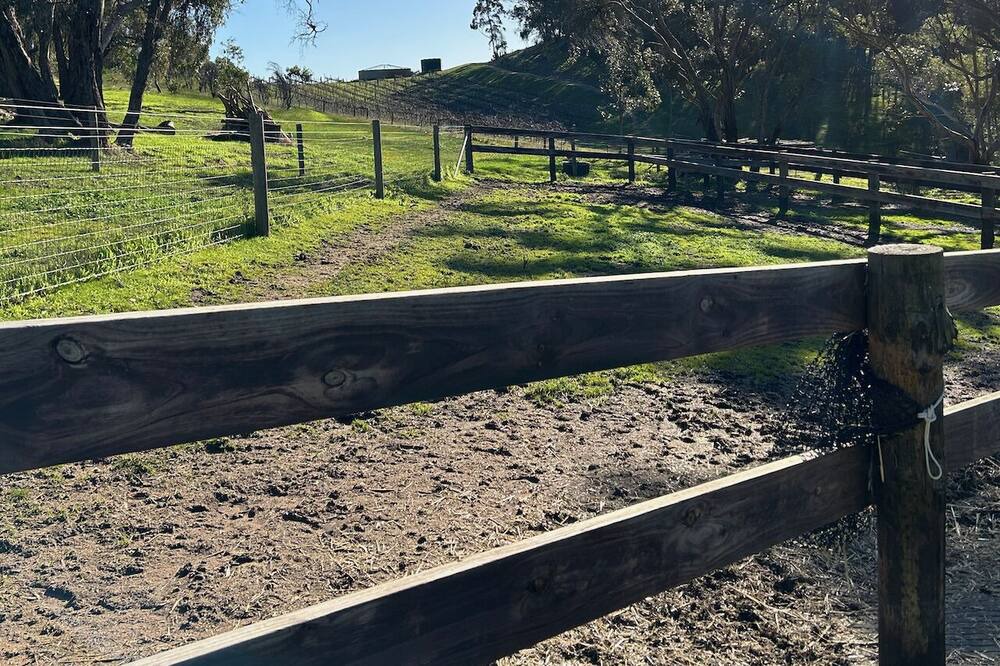 Photo of Outdoor in Sevenhill