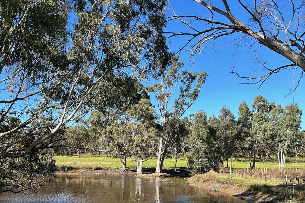 Photo of Outdoor in Sevenhill