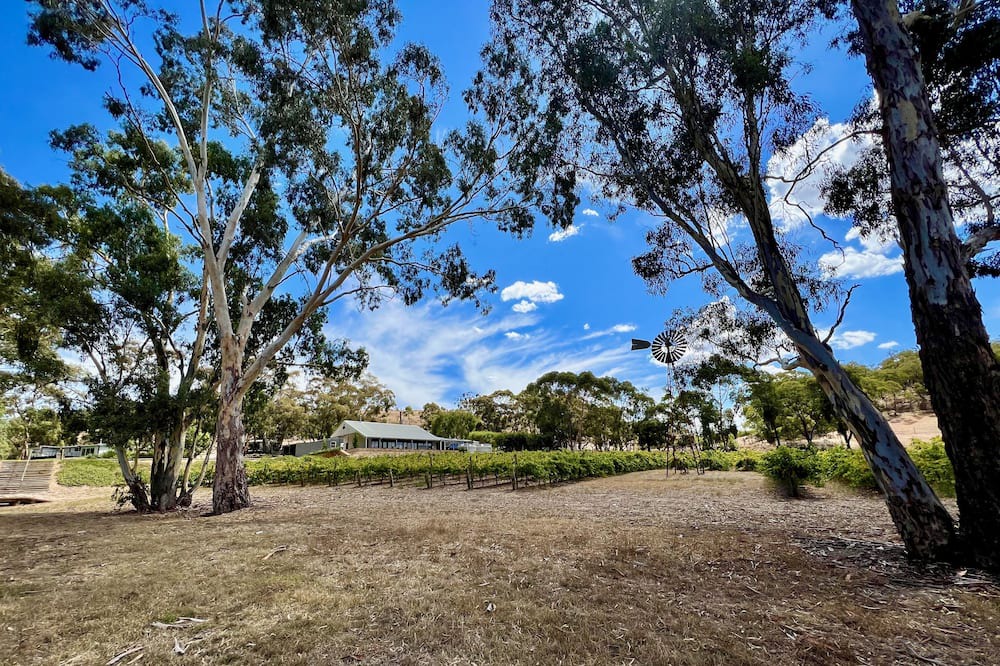 Photo of Outdoor in Sevenhill