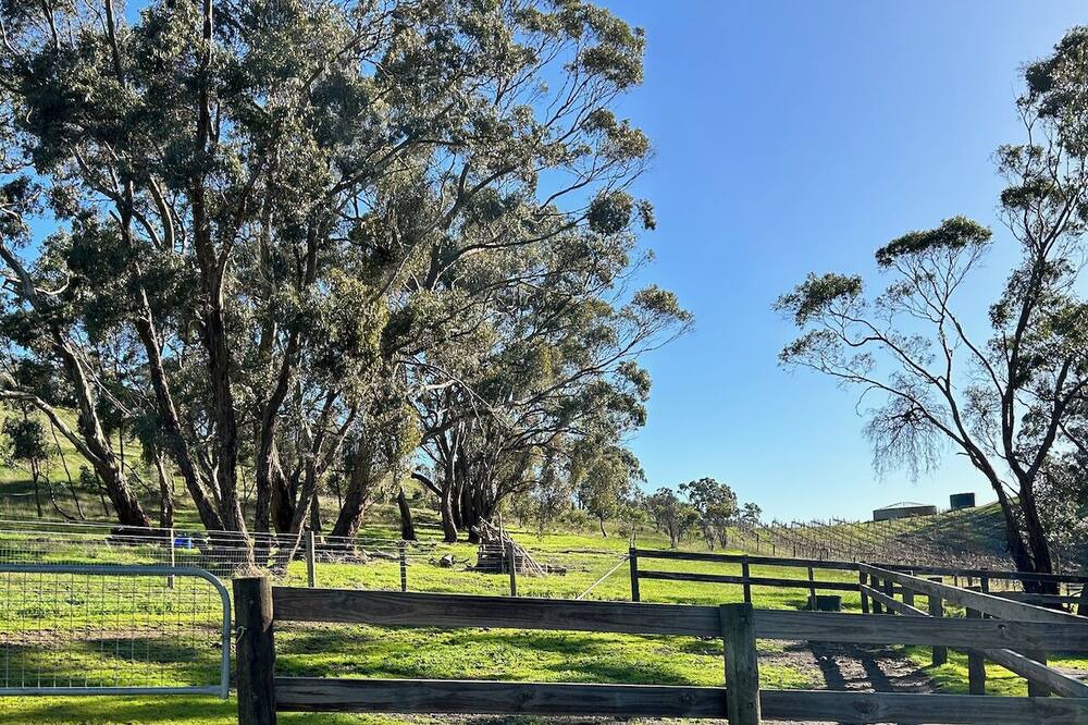 Photo of Outdoor in Sevenhill