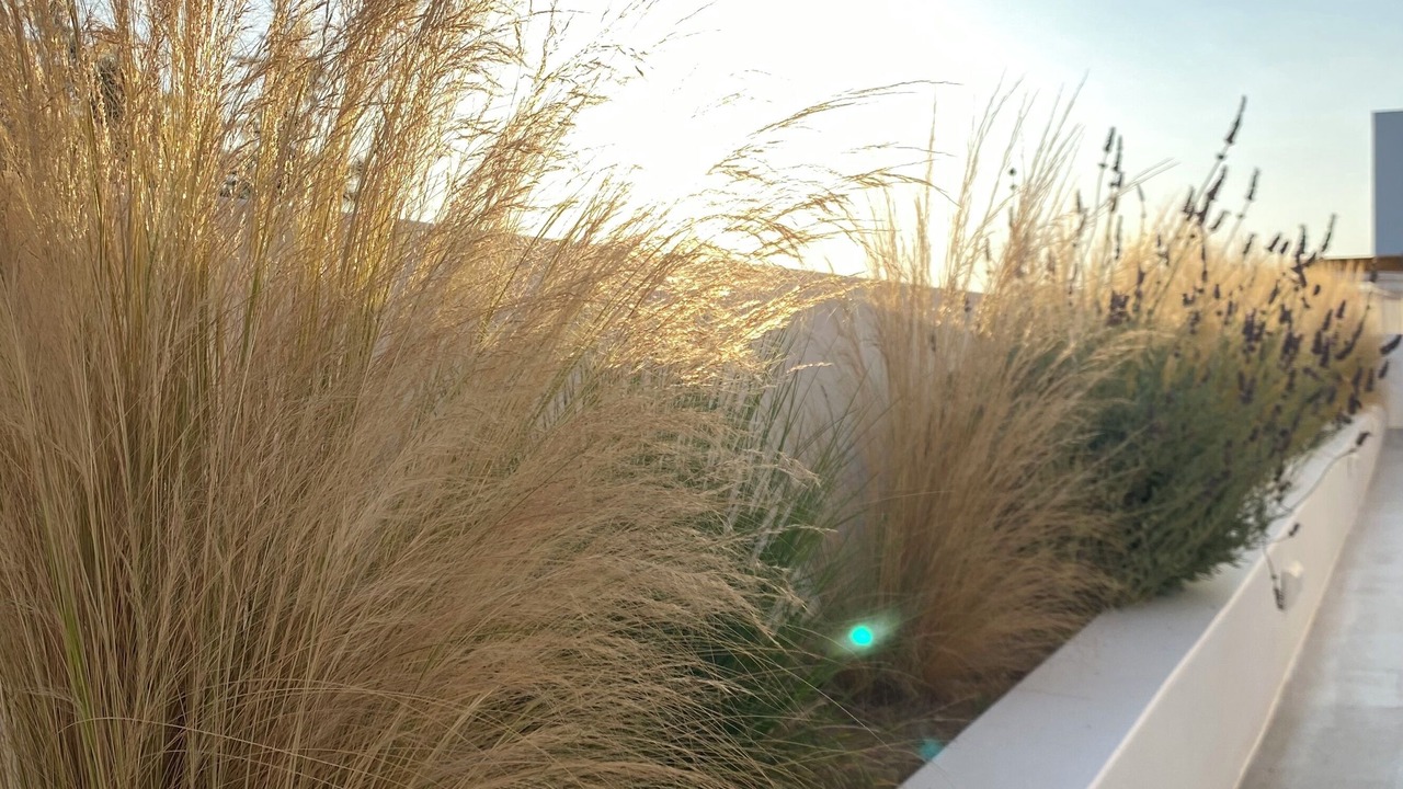 Photo of Outdoor in Apollonia