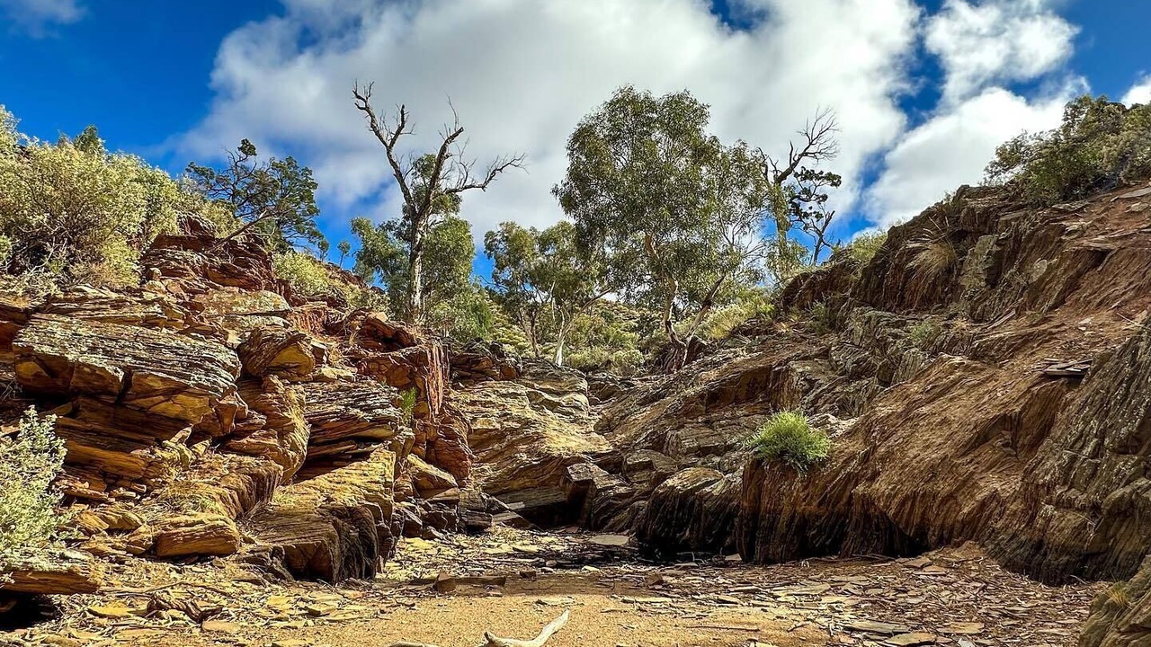 Photo of Outdoor in Bendleby