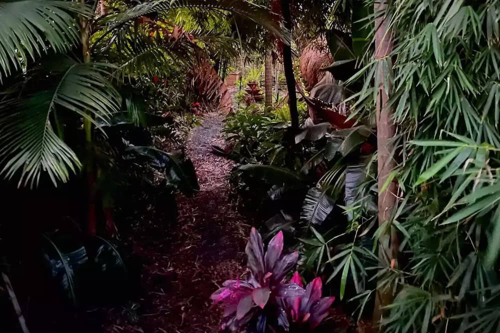 Photo of Outdoor in Manly