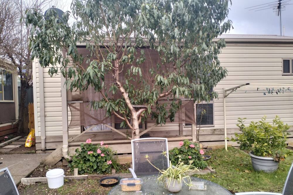 Photo of Outdoor in Meadow Heights