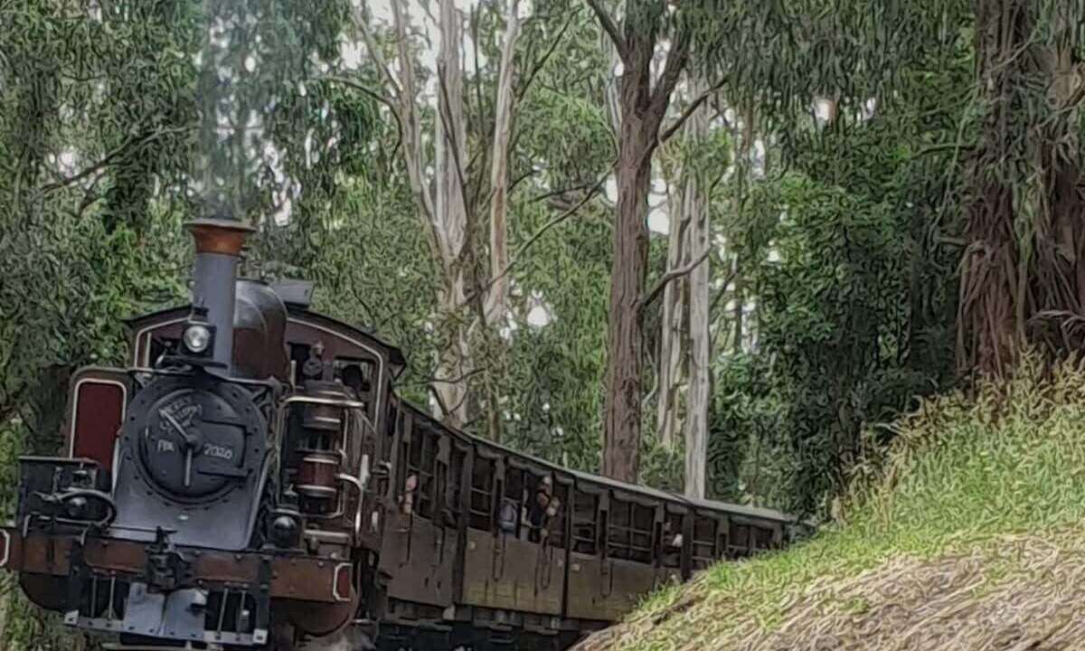 Photo of Others in Menzies Creek