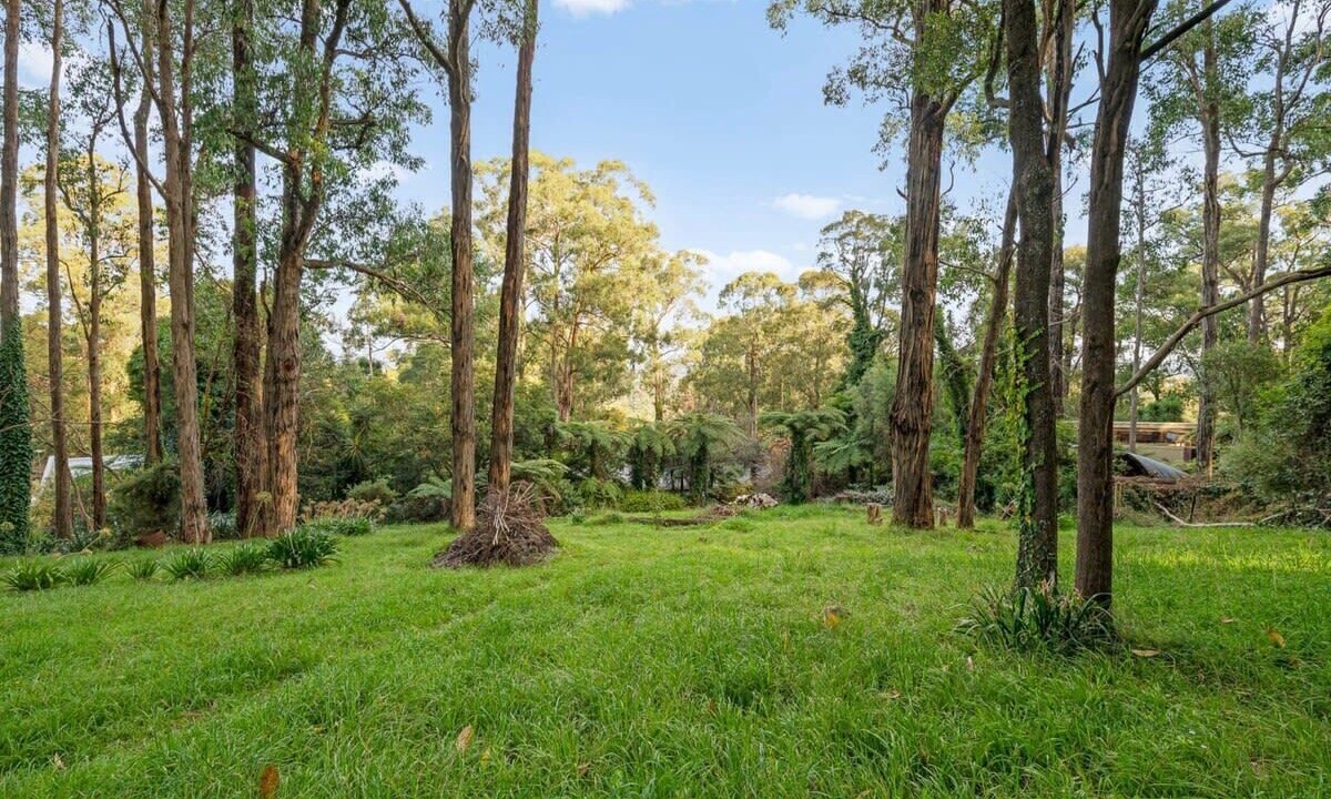Photo of Others in Menzies Creek