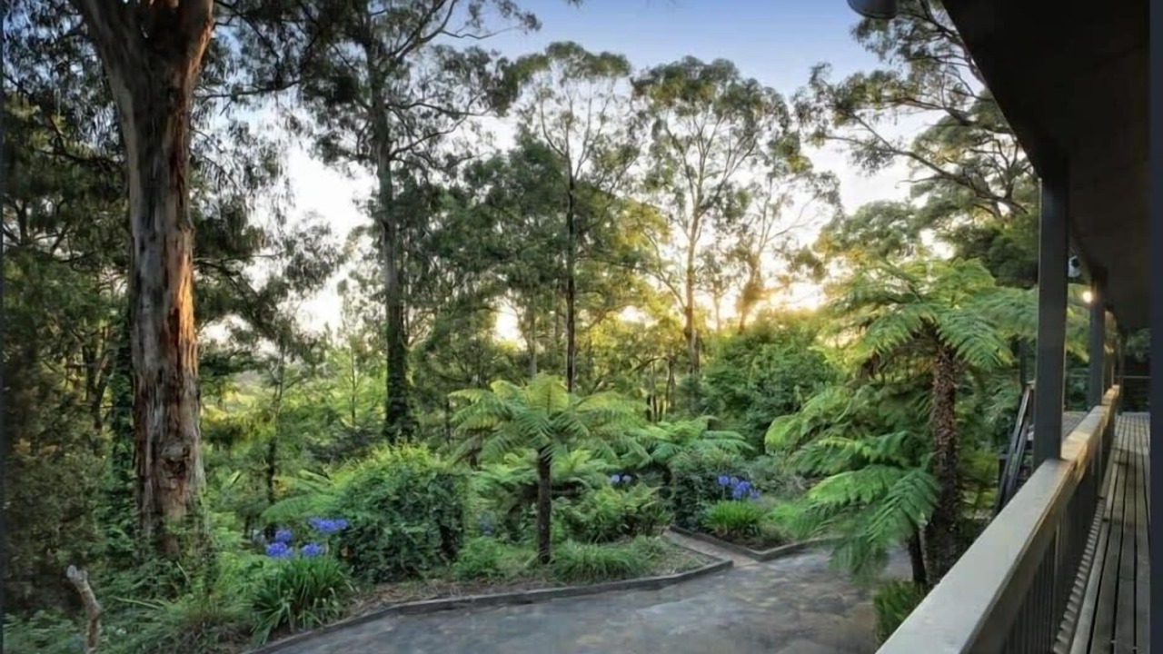 Photo of Outdoor in Menzies Creek
