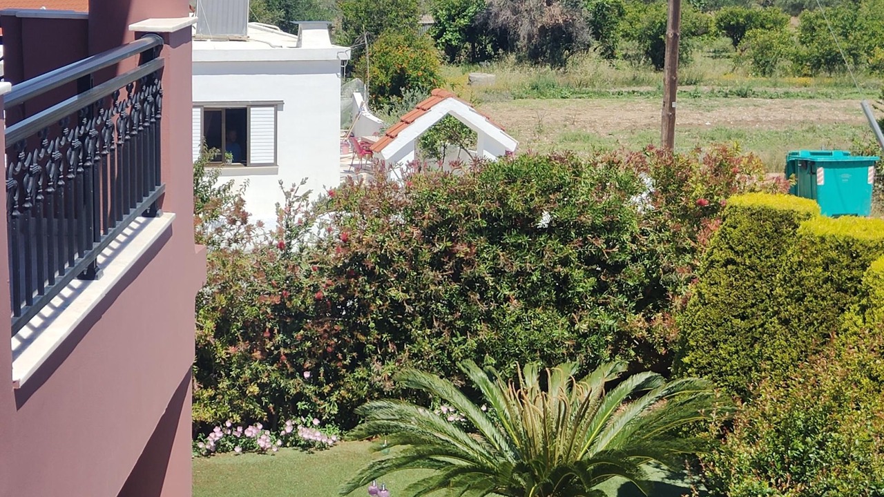 Photo of Others in Pastida