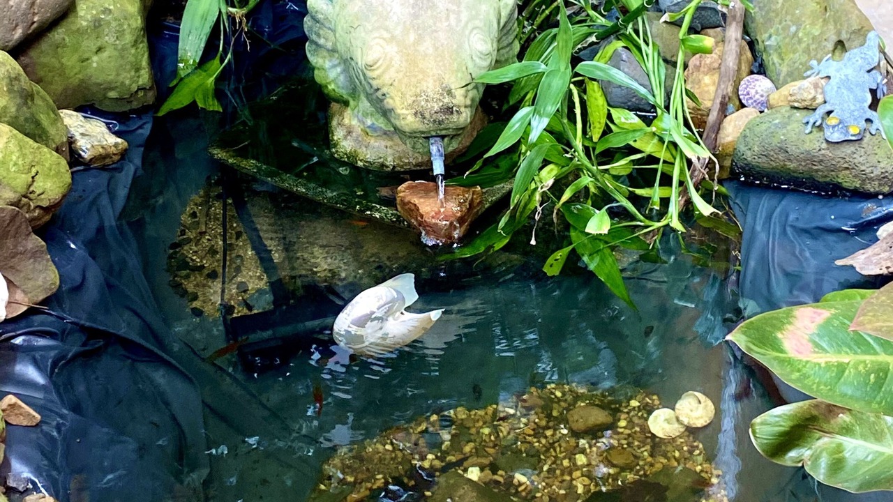 Photo of Outdoor in Cooktown