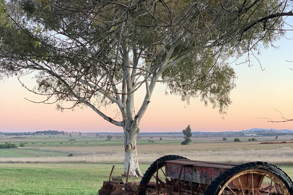 Photo of Outdoor in Forbes