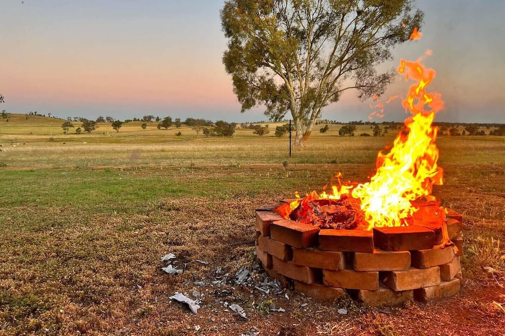 Photo of Outdoor in Forbes
