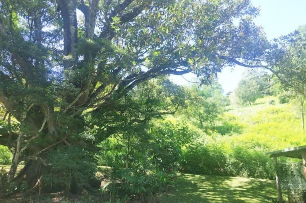 Photo of Outdoor in Mountain Top